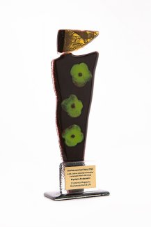 Nagroda Businesswoman Roku 2013