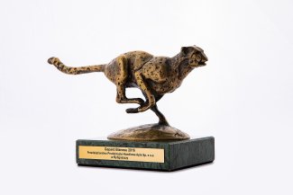 Gepard Biznesu 2015